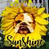 Ed Music - Good Morning Sunshine - Single
